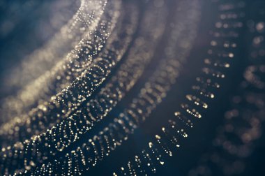 Parıldayan ışıklar odaklanmamış arkaplan