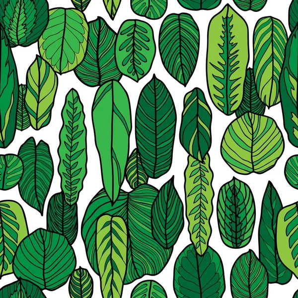Colorido Exótico Decorativo Folhas Botânico Sem Costura Padrão Fundo Branco — Vetor de Stock