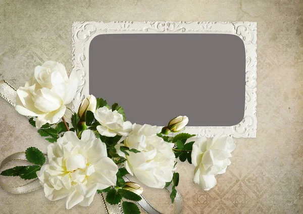 老式的背景框架和白玫瑰 — 图库照片
