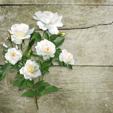 Eski bir kaba ahşap arka plan üzerinde beyaz gül buketi
