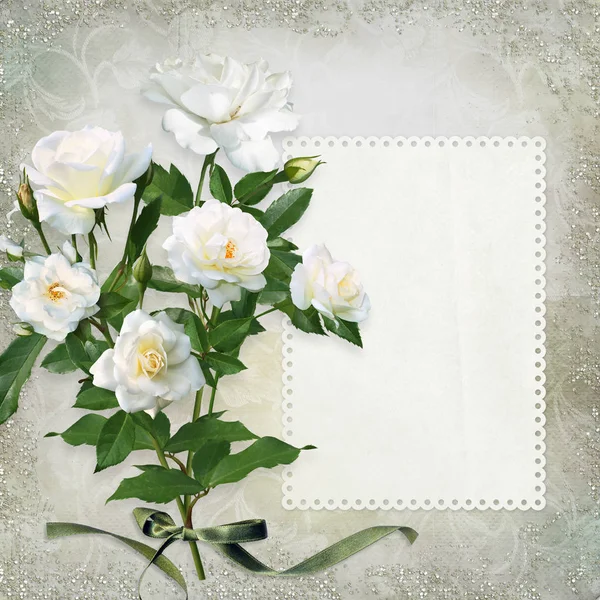 Λευκά τριαντάφυλλα με κάρτα για κείμενο ή φωτογραφία σε όμορφη εκλεκτής ποιότητας φόντο — Φωτογραφία Αρχείου