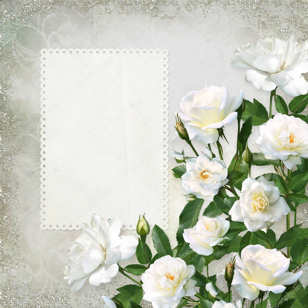White roses with card for text or photo on a beautiful vintage background