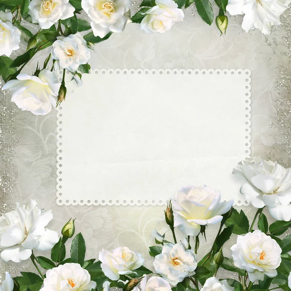 Fronteira de rosas brancas, cartão para texto ou foto em um belo fundo vintage — Fotografia de Stock