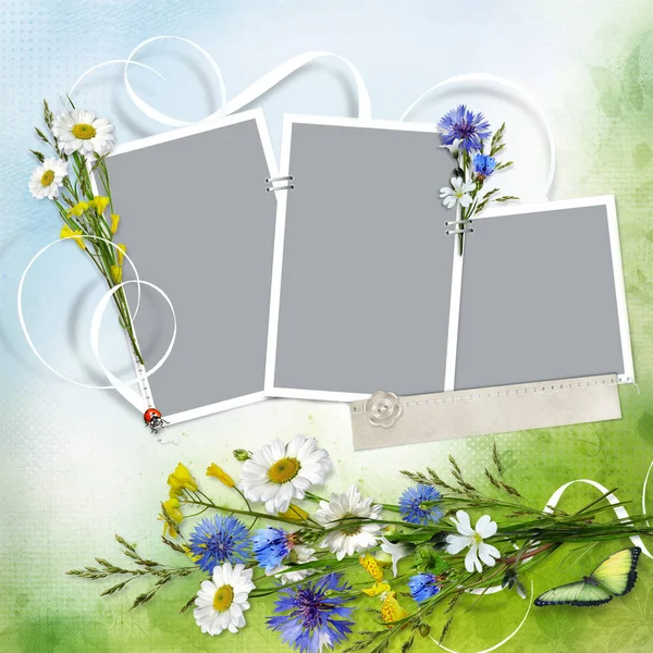 Güzel arka plan ile bir fotoğraf ve bir buket çiçek chamomiles ve Peygamber için çerçeveler — Stok fotoğraf
