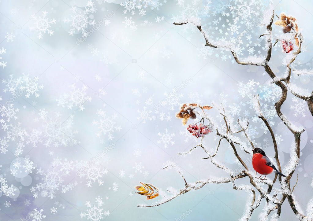 Winter background with snowflakes and a bird bullfinch on the branches of a tree