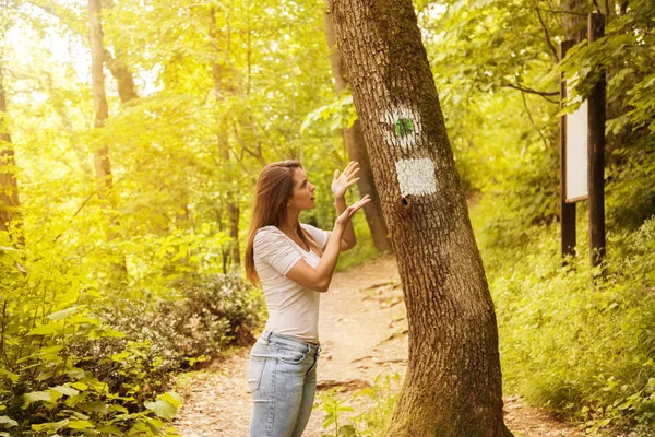 Bir işaret ormandaki bakarak karışık genç kadın — Stok fotoğraf