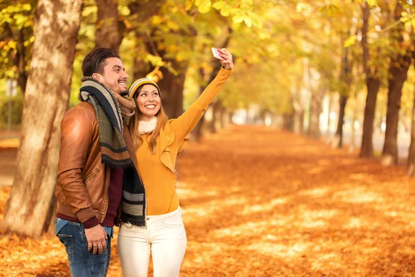 Belo casal tirando uma selfie em um parque no outono — Fotografia de Stock