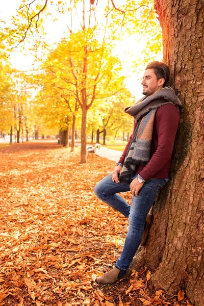 Yakışıklı adam sonbaharda bir parkta bir ağacına yaslanmış — Stok fotoğraf