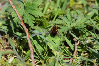 Uzatılmış hortumları olan kaslı erkekler.