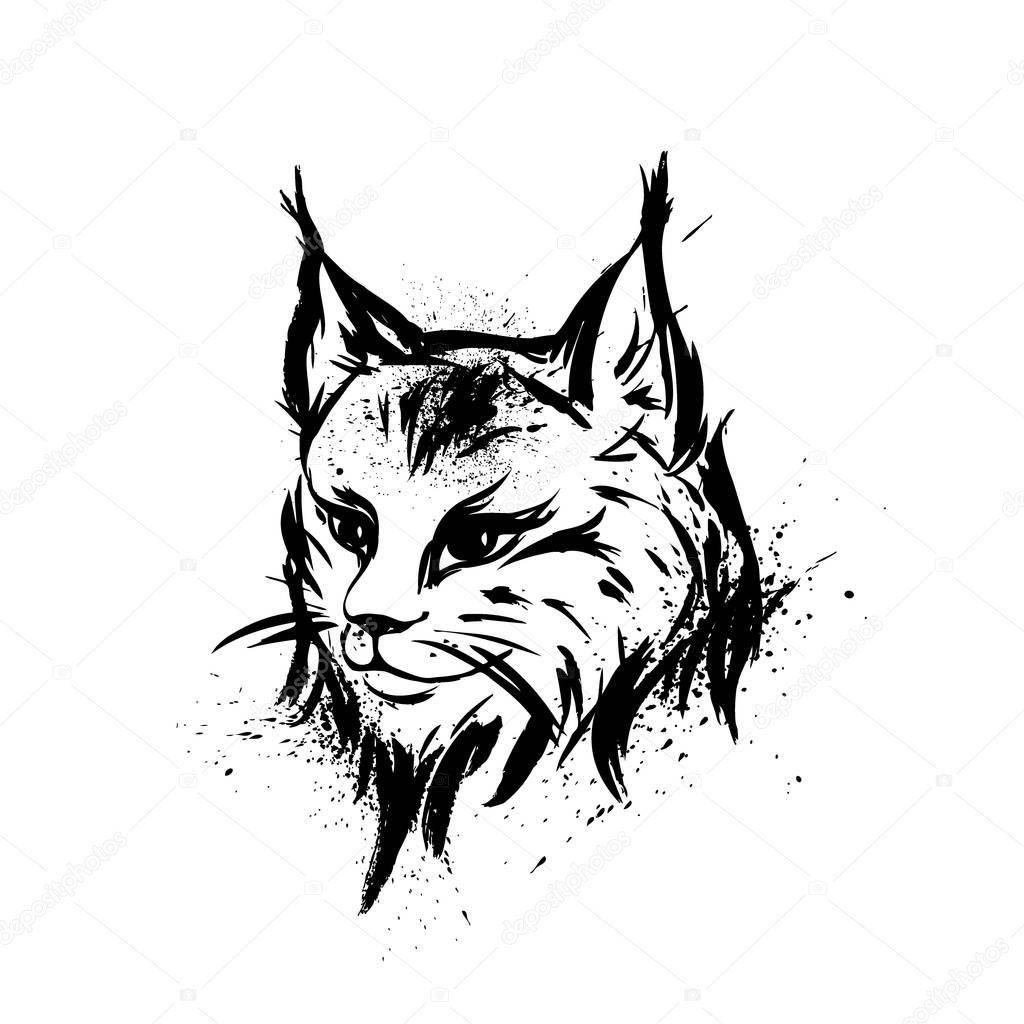 Lynx Wilde Kat Roofdier Hand Getrokken Stockvector Naum100
