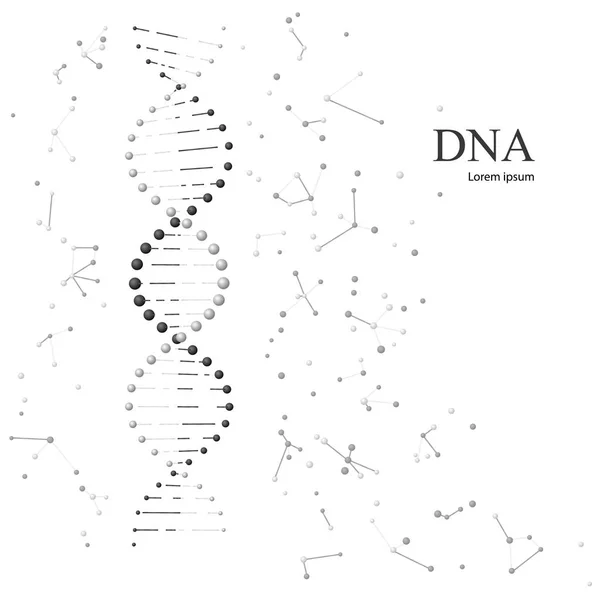 Molekul DNA. Ilustrasi vektor diisolasi pada latar belakang putih - Stok Vektor