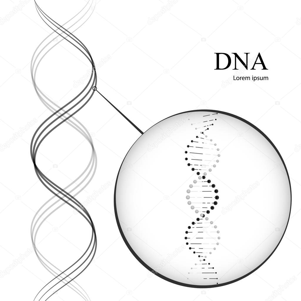 DNA molecules. Vector illustration isolated on white background