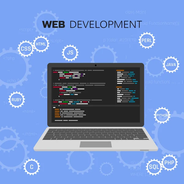 Pemrograman dan coding. Bahasa Pemrograman. Pengembangan web. Pengujian perangkat lunak. Infografis konsepsi vektor - Stok Vektor