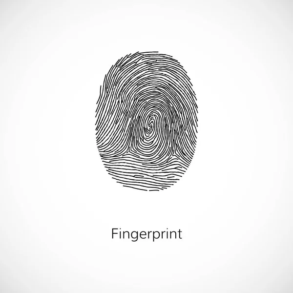 Fingerprint. Vector illustration isolated on white background — Stock Vector