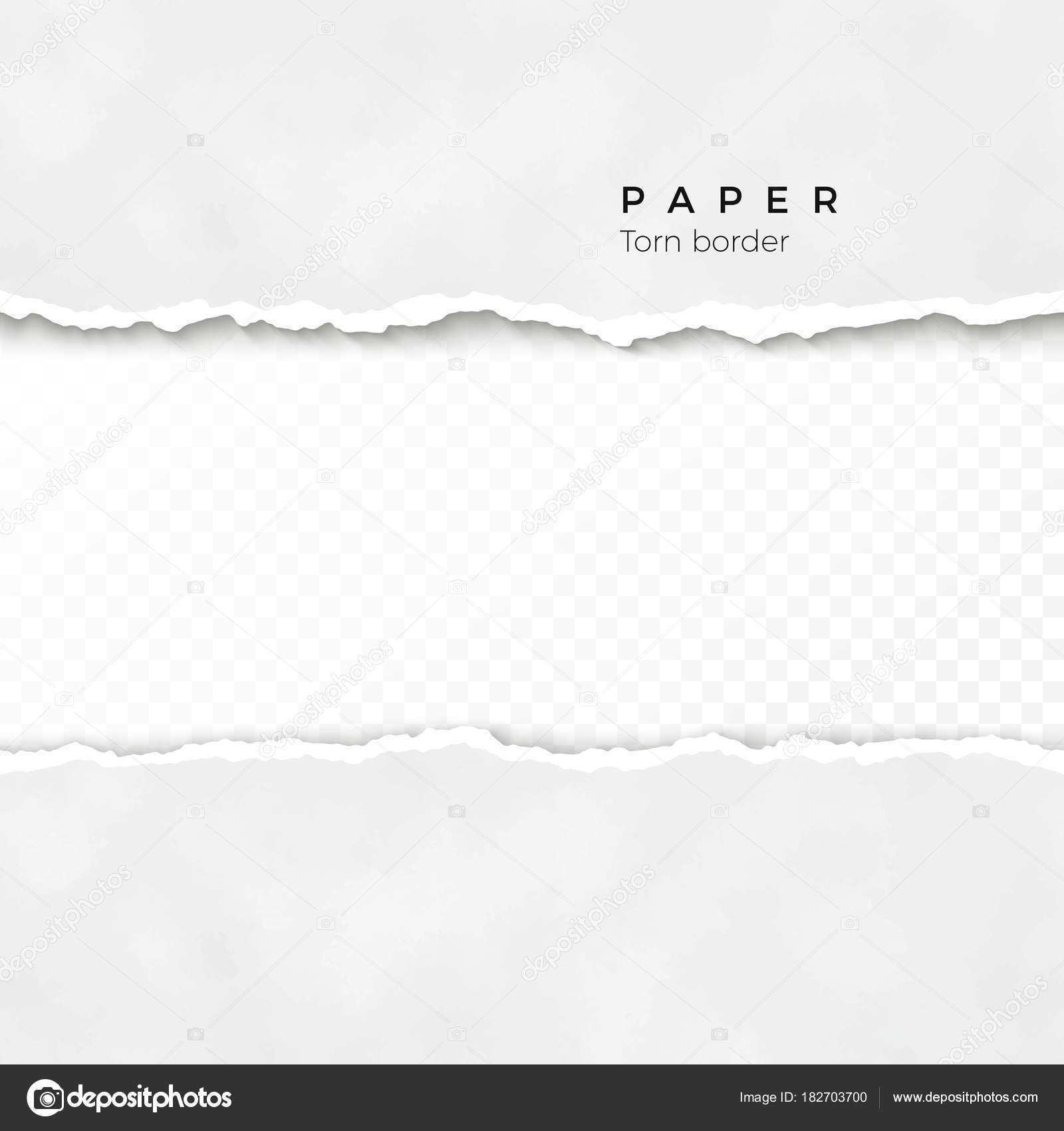 Torn paper edge isolated on transparent background - Vector illustration  Stock Vector