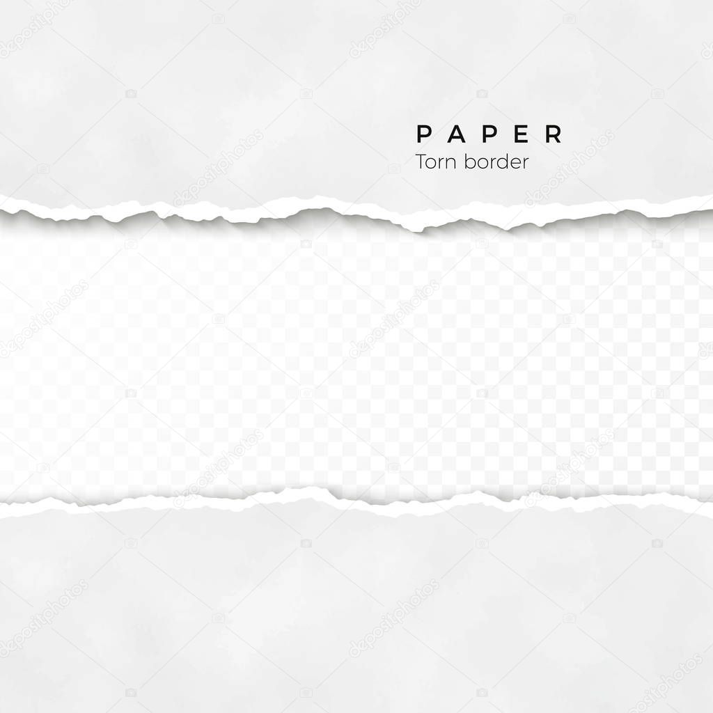 Horizontal torn paper edge. Paper texture. Rough broken border of paper stripe. Vector illustration isolated on transparent background