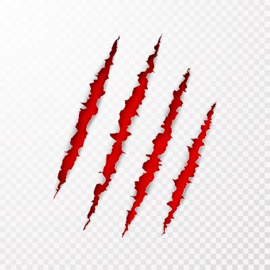 Korkunç leceration kağıt yüzeyi. Vahşi hayvan pençeleri sıfırdan doku kırmızı arka plan ile. Yırtık kağıt kenar. İzole vektör çizim