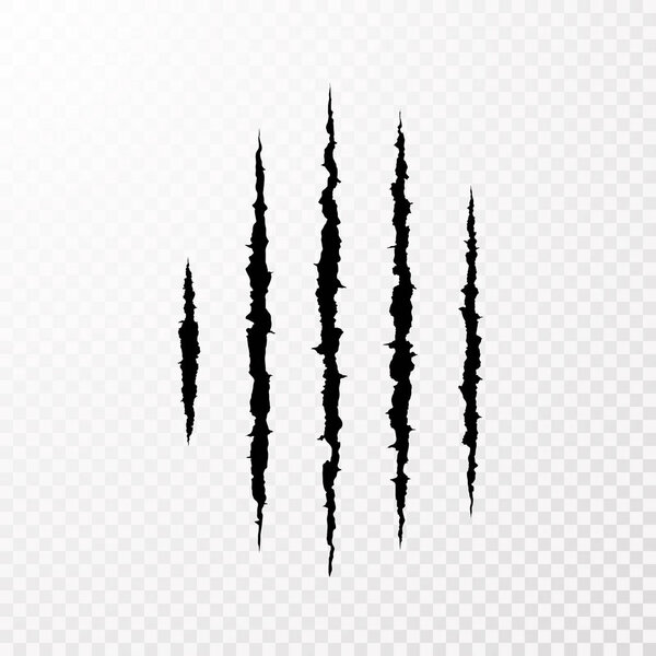 Traces from the claws of the monster. Claw scratch mark. Animal scratch isolated on transparent background. Shred paper. Vector illustration
