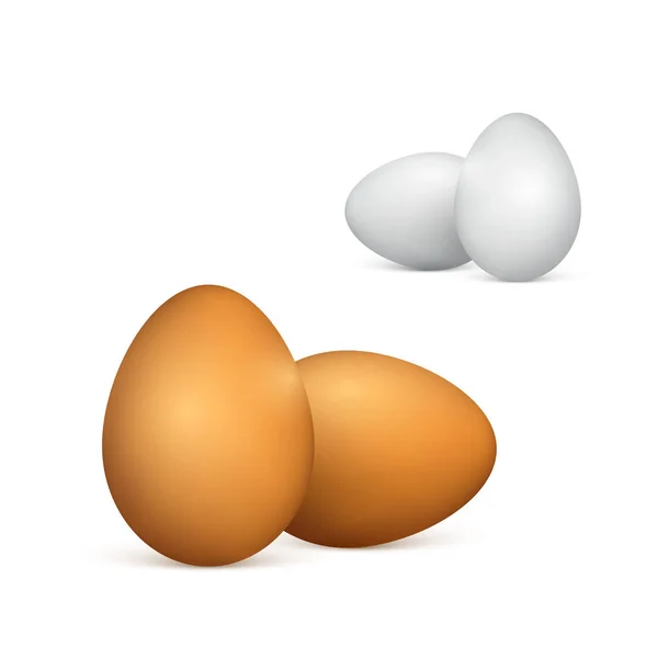 Набор белых и коричневых яиц. Реалистичные 3d куриные яйца. Векторная иллюстрация на белом фоне — стоковый вектор