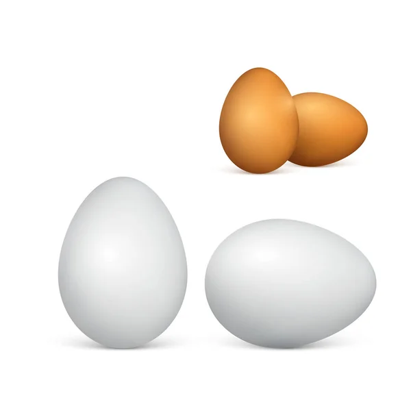 Set of couple white and brown eggs. Realistic 3d chicken eggs. Vector illustration isolated on white background — Stock Vector