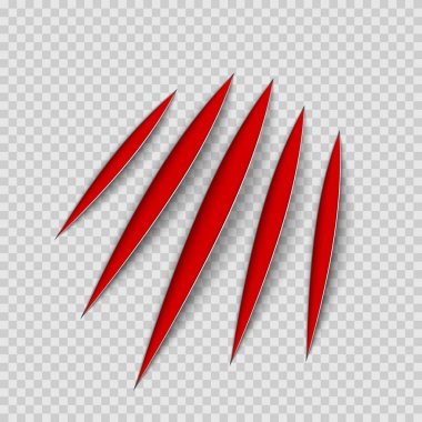 Kırmızı pençeleri hayvan çizik çizik parça. Kedi ya da Kaplan çizikler şekil pençe. Dört çivi izleme. Saydam arka plan üzerinde izole vektör çizim