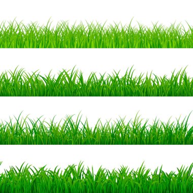 Sorunsuz gorisontal çim sınır. Yeşil bitkisel panorama desen. Çim doku öğeleri. Vektör çizim üzerinde beyaz izole