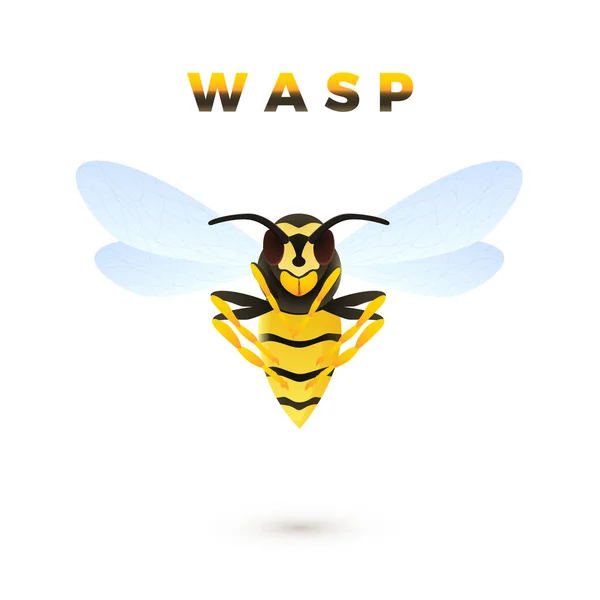 白い背景に隔離されたワスプ漫画のイラスト 捕食昆虫 黄色い縞模様のワスプ ベクトル — ストックベクタ