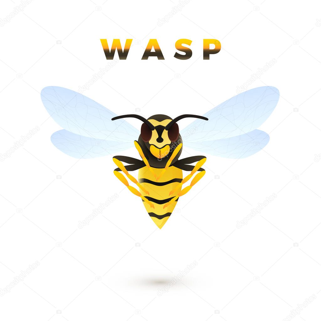 Wasp cartoon illustration isolated on white background. Predatory insect. Yellow striped wasp. Vector