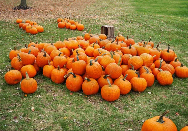 Högen av pumpor — Stockfoto