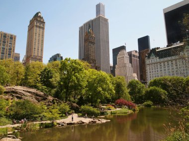New York Central Park manzarası