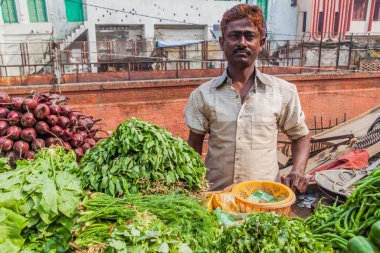 Lucknow, Hindistan - 3 Şubat 2017: Lucknow, Uttar Pradesh Eyaleti, Hindistan