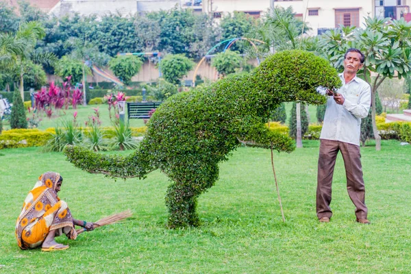Lucknow India February 2017 Gardener Shapes Bush Shape Dinosaurus Lucknow — Stock Photo, Image