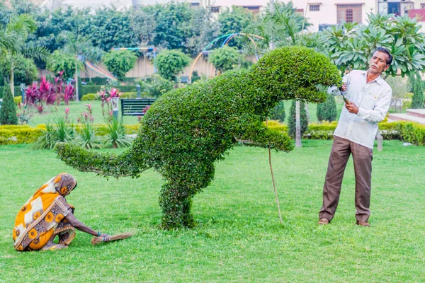 Lucknow Indie Lutego 2017 Ogrodnik Kształtuje Krzak Kształt Dinozaura Stanie — Zdjęcie stockowe