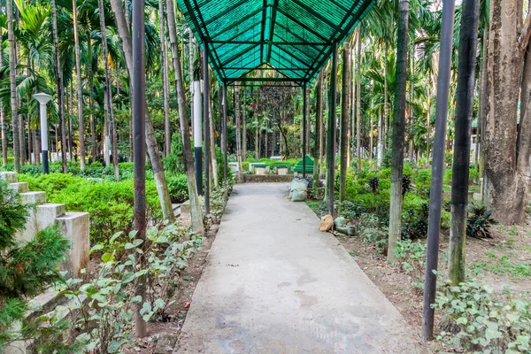 Small Cemetery Old Dhaka Bangladesh — Stock Photo, Image