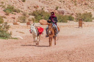 Petra, Ürdün - 23 Mart 2017: Antik Petra, Ürdün 'de yerel eşek binicisi
