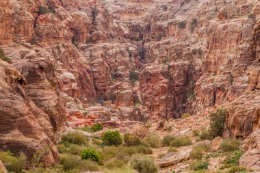 Antik kentte kayalar Petra, Ürdün