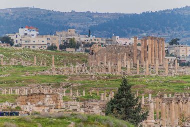 antik kalıntıları: jerash, jordan