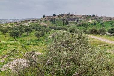 Umm Qais, Ürdün 'ün antik harabeleri
