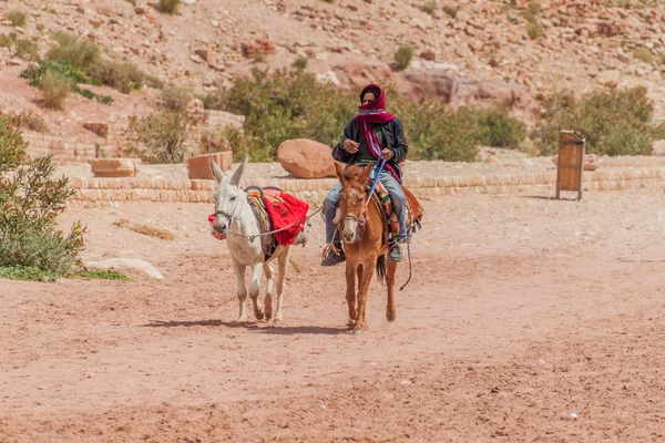 Petra Jordania Marca 2017 Miejscowy Jeździec Osłem Starożytnym Mieście Petra — Zdjęcie stockowe