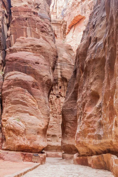 View Siq Narrow Gorge Main Entrance Ancient City Petra Jordan — Stock Photo, Image