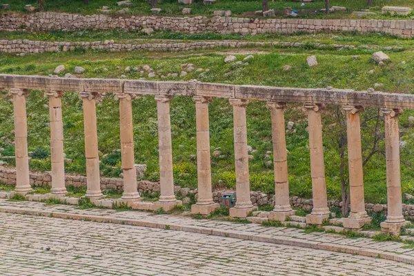 Kolumny Forum Starożytnego Miasta Jerash Jordania — Zdjęcie stockowe