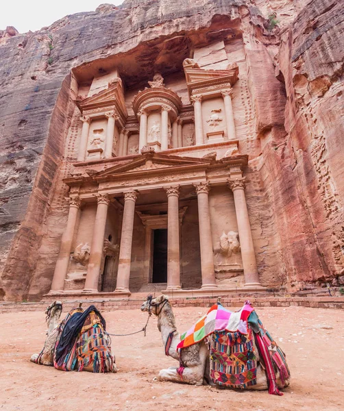 Kameler Framför Khaznehtemplet Skattkammaren Den Antika Staden Petra Jordanien — Stockfoto