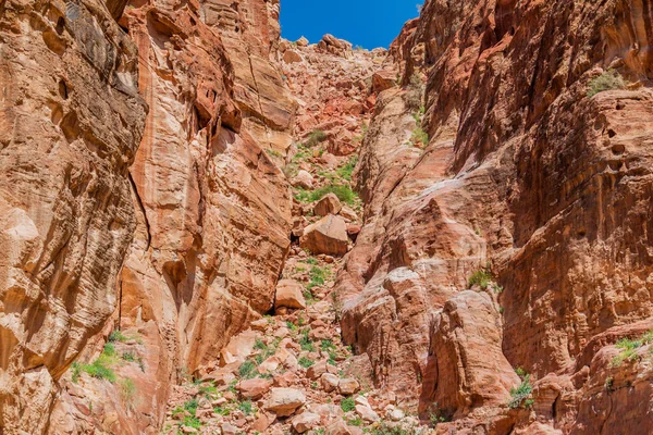 Pedras Cidade Antiga Petra Jordânia — Fotografia de Stock