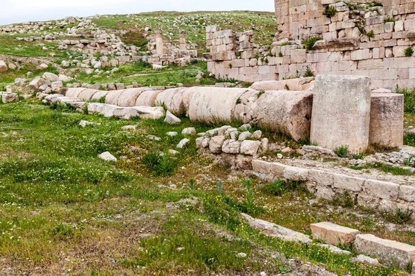 Ruines Colonnes Ancienne Ville Jerash Jordanie — Photo