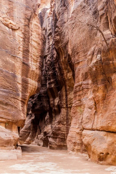 Вид Сік Вузька Ущелина Головний Вхід Стародавнього Міста Петра Йорданія — стокове фото