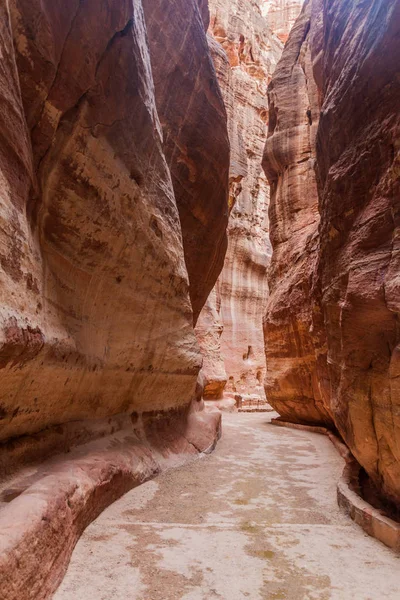 View Siq Narrow Gorge Main Entrance Ancient City Petra Jordan — 스톡 사진