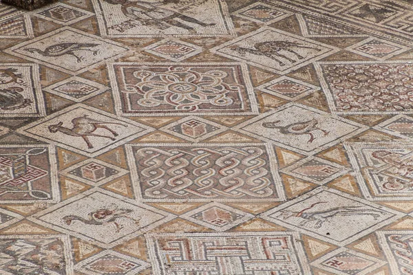 Mosaicos Igreja Dos Santos Cosme Damiano Ruínas Cidade Antiga Jerash — Fotografia de Stock