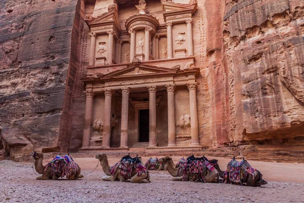 Kamelen Voor Khazneh Tempel Schatkist Oude Stad Petra Jordanië — Stockfoto