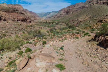 Dana Biyosfer Rezervi 'ndeki Wadi Dana Kanyonu, Ürdün