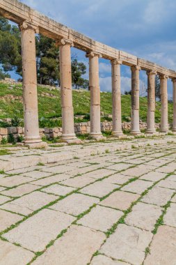 Ürdün 'ün Jerash kentindeki Forum' da sütunlar